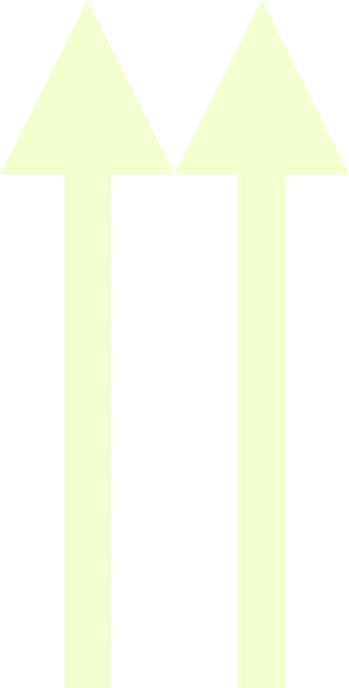 Icon double arrow