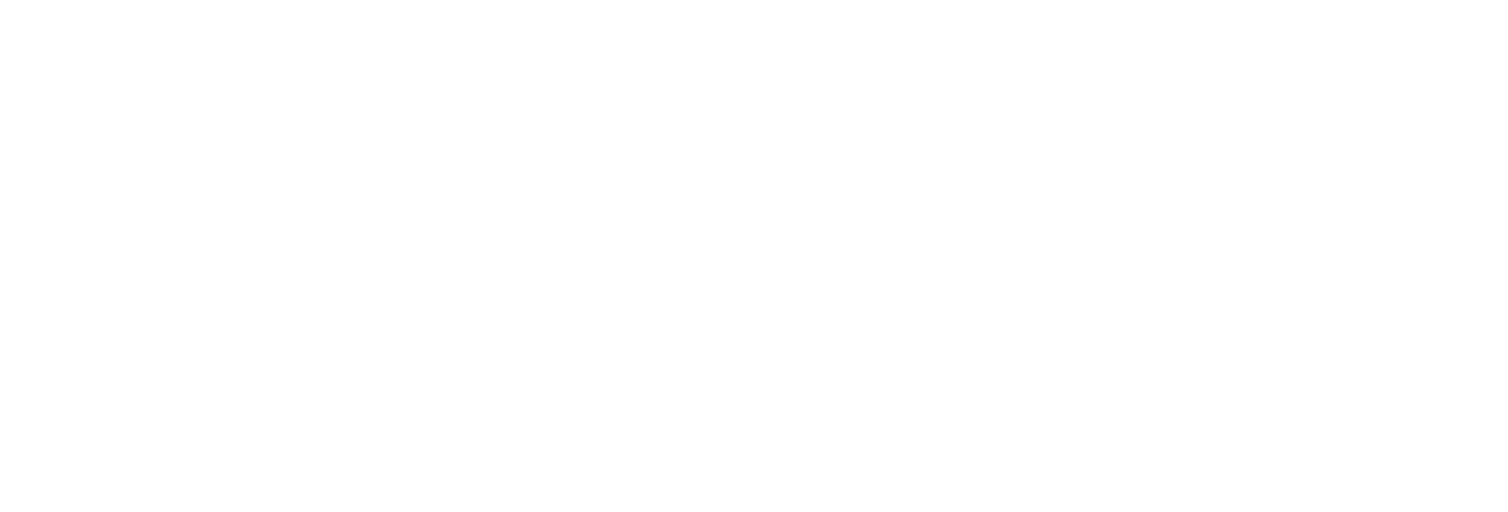 Logo ircad