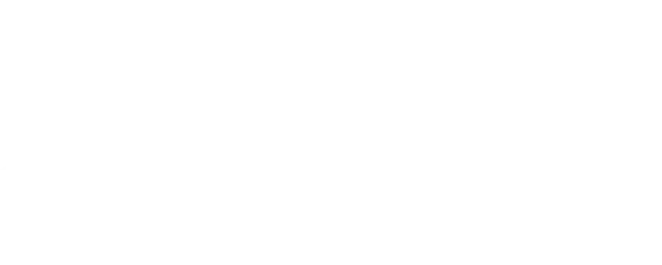 Logo palm box